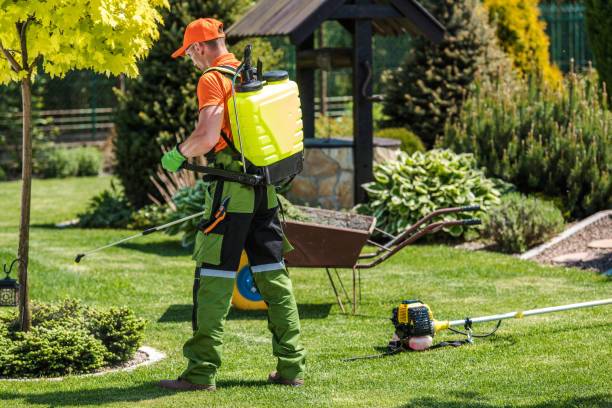 Best Fumigation Services  in Upland, IN